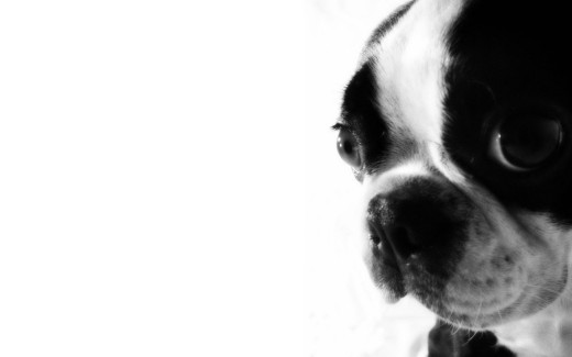 466723 (a): :1920x1200